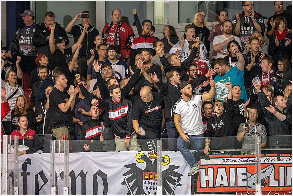 Testspiel Koelner Haie - Adler Mannheim, 09.09.2018